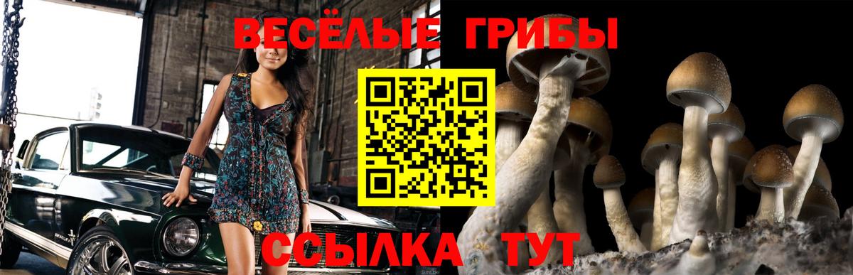 Йошкар-Ола  Псилоцибиновые грибы Psilocybe  Вход с VPN 